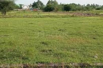 a  plot  available in a  nimdighi